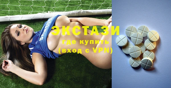шишки Надым