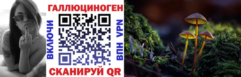 Галлюциногенные грибы GOLDEN TEACHER  Короча 